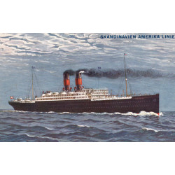 S/S Frederik VIII, ved indsejlingen til København, brugt