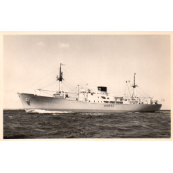 DFDS. M/S BRASILIEN, ubrugt