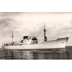 DFDS. M/S MELOS, brugt (Menu)