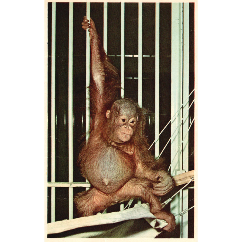 København. Zoologisk Have, brugt