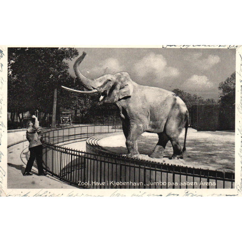 København. Zoologisk Have, Jumbo, brugt