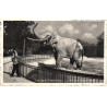 København. Zoologisk Have, Jumbo, brugt