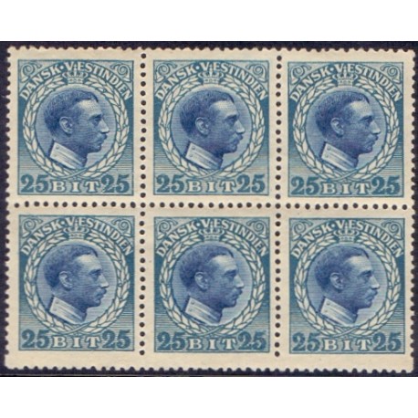 DWI. 1915-16. 25 Bit Chr. X. 6-blok med variant på 2(5)AFA 48,x postfrisk MNH