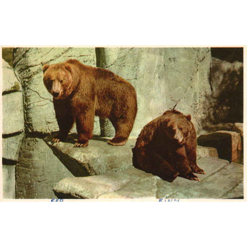Zoo. Dyrene i Zoo, brugt