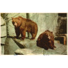 Zoo. Dyrene i Zoo, brugt