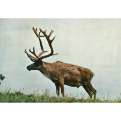 Grønland. Sdr. Strømfjord, KGH 79, ubrugt