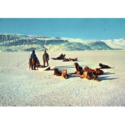 Grønland. Slædekørsel. KGH 163, ubrugt