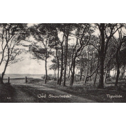 TIDSVILDELEJE. Stj. II. Sk. 1364