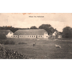 Hellebæk. Hilsen fra, brugt