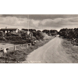 Nykøbing Vibo-Plantage, brugt