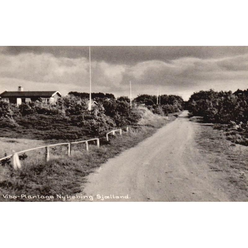 Nykøbing Vibo-Plantage, brugt