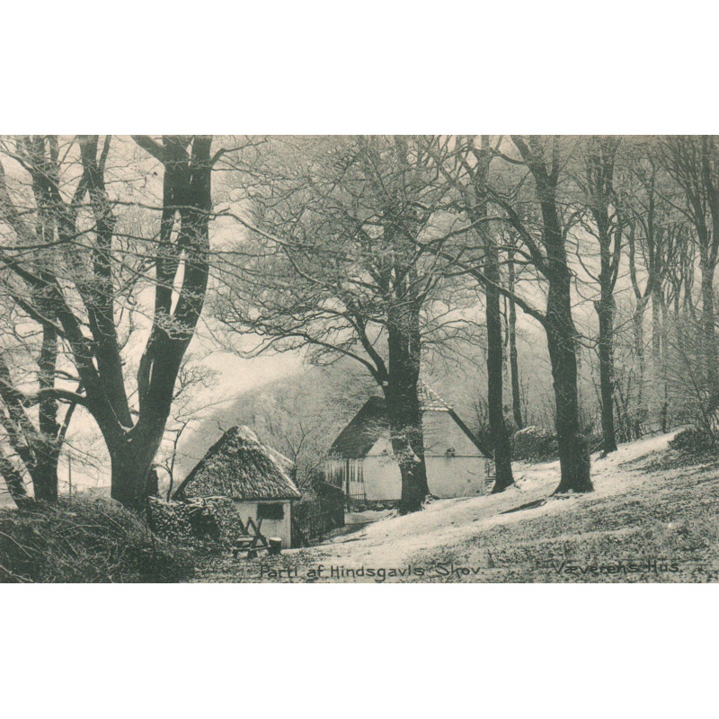 Middelfart. Parti fra Hindsgavls Skov, brugt med julemærke 1916