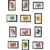 Nicaragua.  Butterflyies in complete set. Michel 1434-45 **/MNH