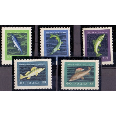 Polen. 1958. Fish in complete set. AFA nr. 941-45 **/MNH.