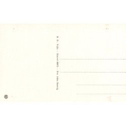 Vejle. Udsigt med skyttehuset, ubrugt
