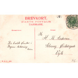 Vejle. Munkebjerg De nye Pavillon, brugt
