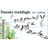 Danmark frimærkehæfte 1999. Danske trækfugle AFA S103