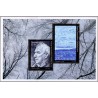 Sverige 2013. Transrömer og Nobeldiplom. AFA nr. 2933, postfrisk miniark stemplet  hæfte FDC parstykkke