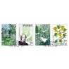 Sverige. 1987. Botaniske haver. AFA nr. 1423-26 postfrisk 4-stribe Stemplet hæfte FDC parstykkke SWEDEN **/o