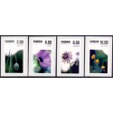 2011. Sommerens blomster. AFA nr. 1663-66,  postfrisk  Stemplet FDC
