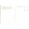 Japan. Osaka Castle, unused postcard