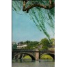 Japan. The Imperial Palace, unused postcard