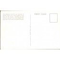 Japan. The Imperial Palace, unused postcard