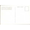 Japan. The Imperial Palace, unused postcard
