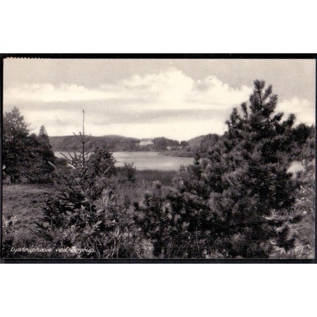 8600. Bryrup. Lysthave ved, brugt (skandia)