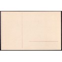 Plakat Plebiscit Agitations-Plakat. Slesvig 1920	Ubrugt