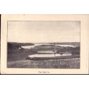 8800. Viborg. Fra Hald sø (?)